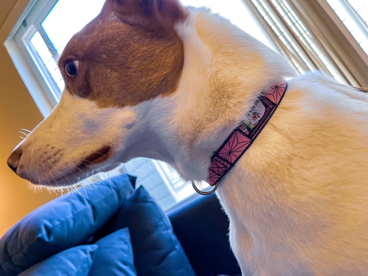 Beast Dog Collar