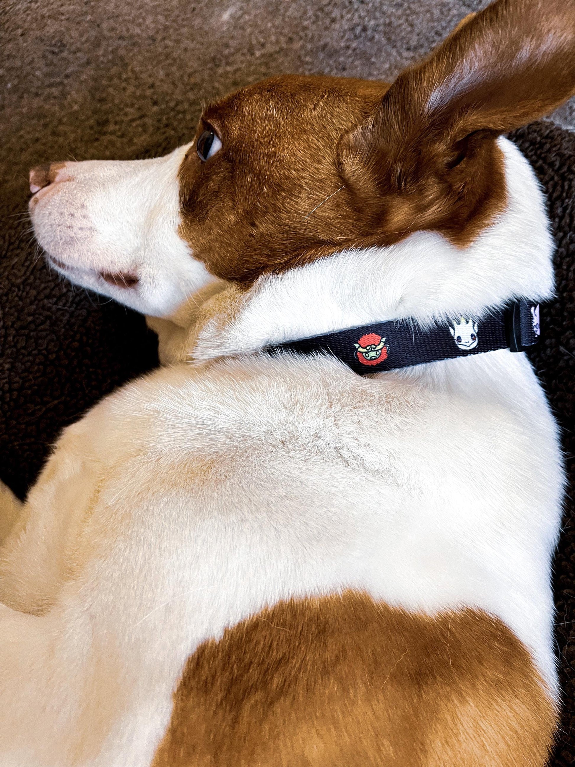 Beast Dog Collar